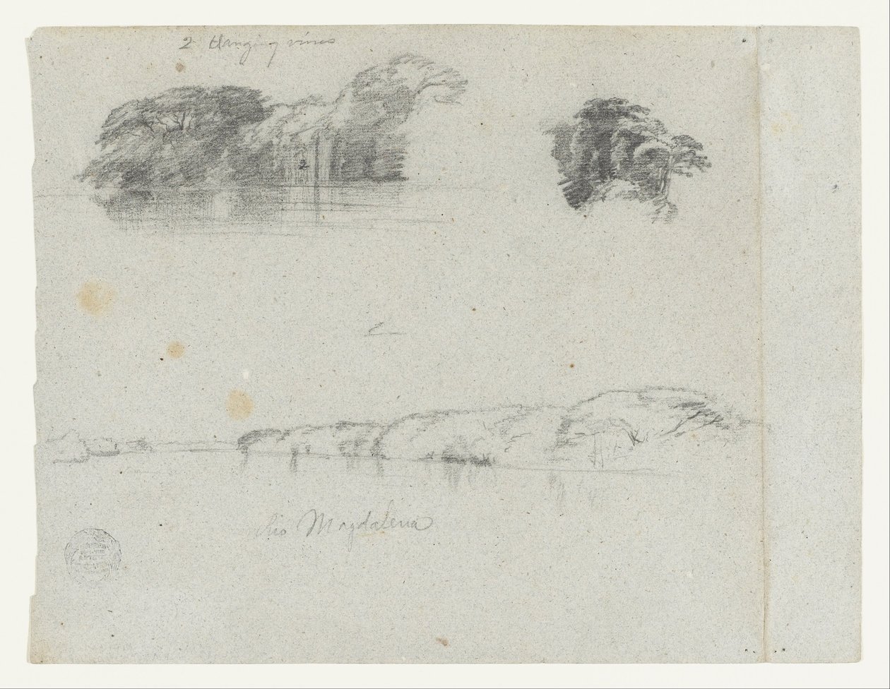 Schetsen van bomen, wijnranken en een oever van de Rio Magdalena, Colombia door Frederic Edwin Church
