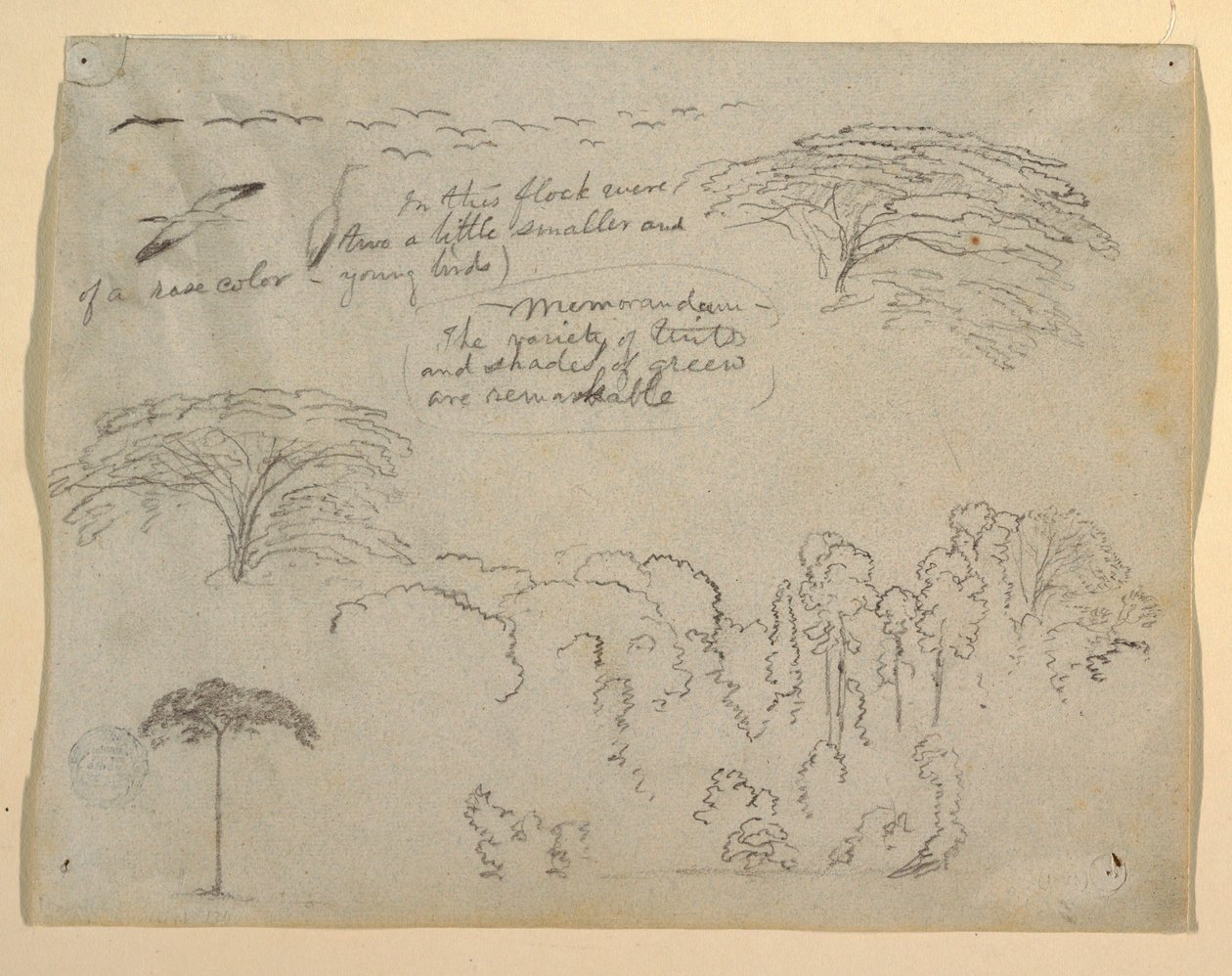 Studies van vogels en bomen gezien vanaf de Rio Magdalena, Colombia door Frederic Edwin Church