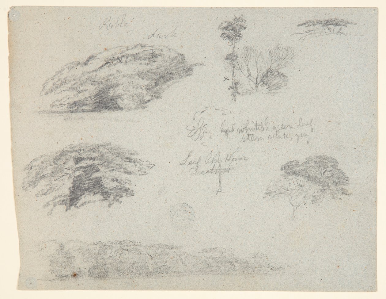 Bomen, boomtoppen en een beboste oever, Saddleback, Maine door Frederic Edwin Church