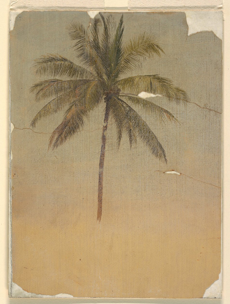 Stam en top van een palmboom door Frederic Edwin Church
