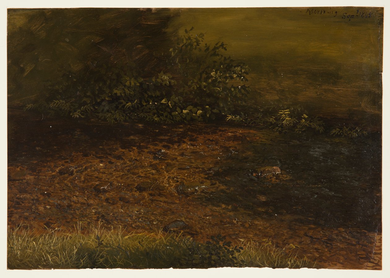 Bosbeek in de Catskills door Frederic Edwin Church