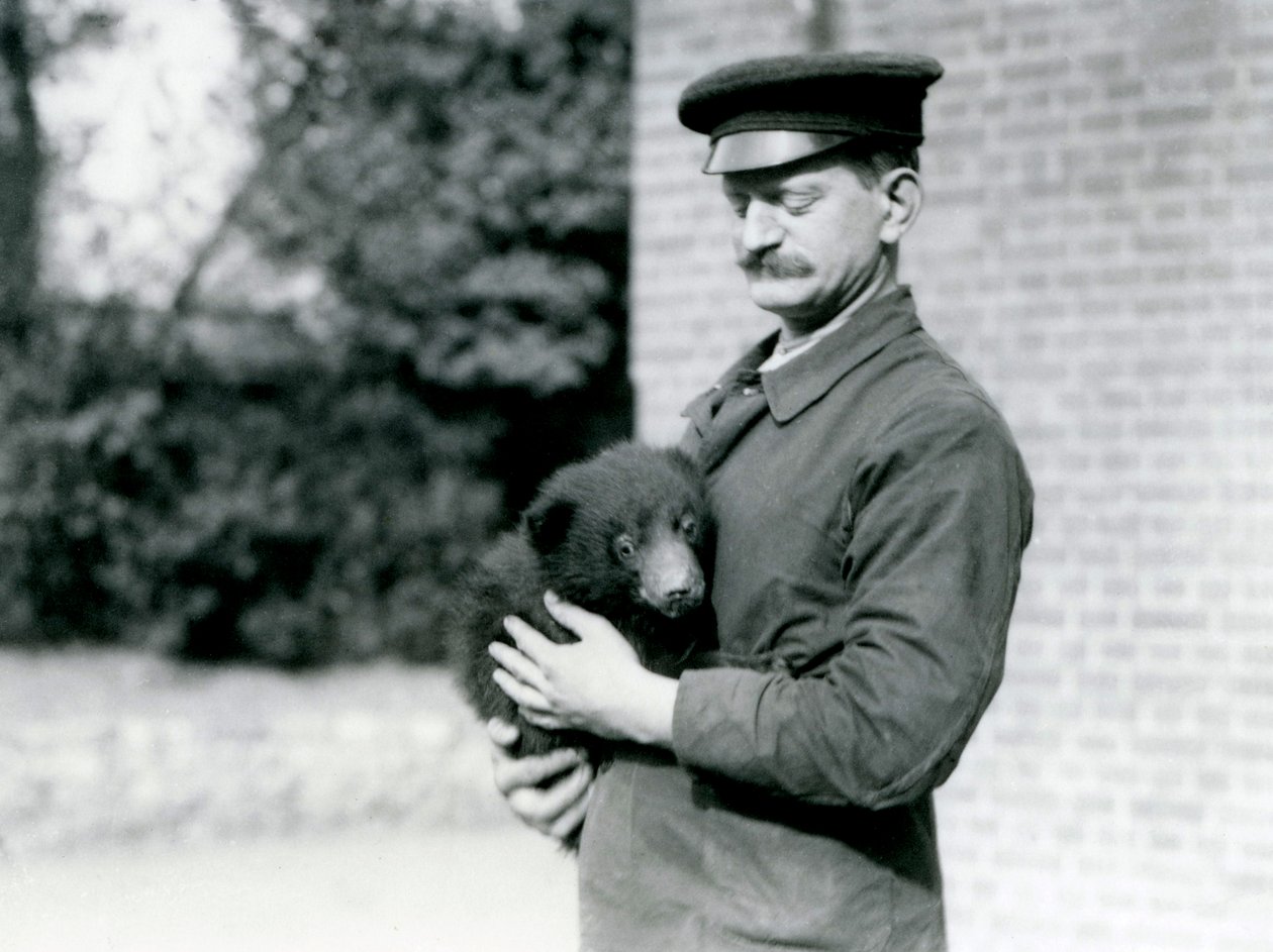 Een Verzamelaar houdt een Luiaardbeerwelp vast in de Londense Dierentuin, Augustus 1921 door Frederick William Bond