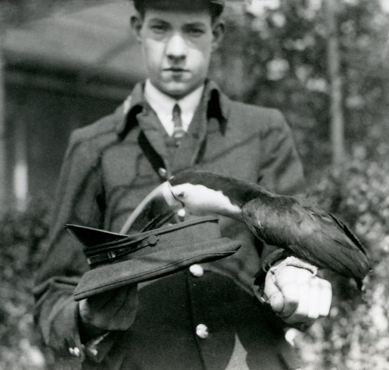 Een roodbektoekan trekt een ticket uit een hoed, vastgehouden door verzorger C. Hersey, London Zoo, 1923 door Frederick William Bond