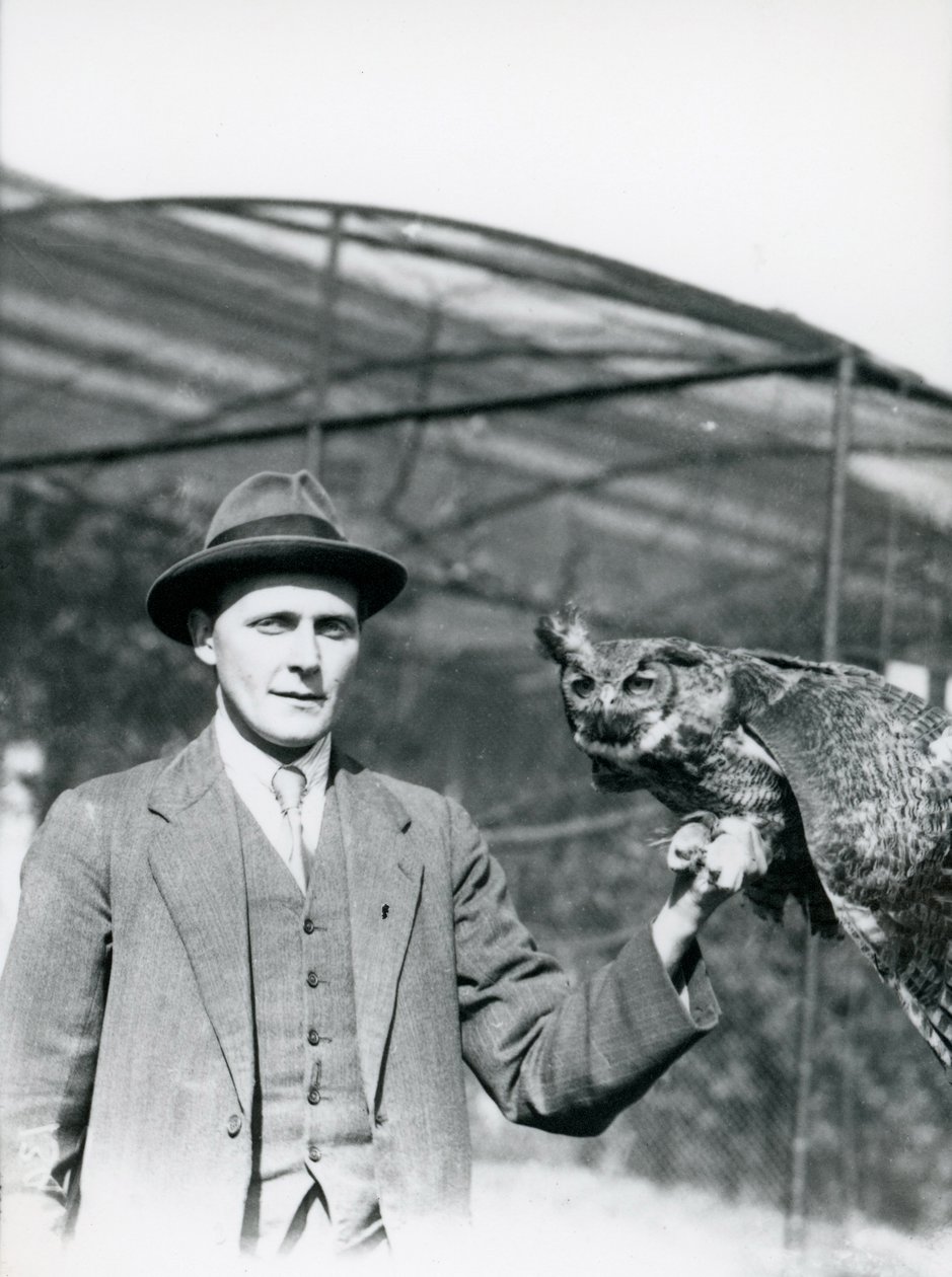 Een Oehoe vastgehouden door J. Bailey, Vogelopzichter in de London Zoo gedurende dertig jaar. Juni 1920 door Frederick William Bond