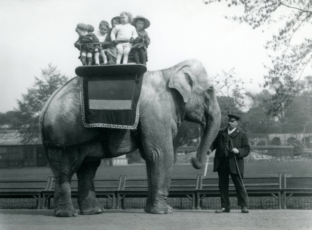 Een Indische Olifant, met verzorger, die kleine kinderen een ritje geeft in de London Zoo, c.1913 door Frederick William Bond