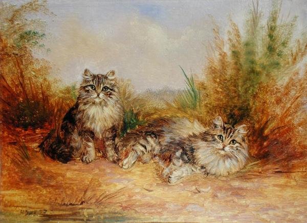Twee gestreepte kittens in een landelijke omgeving door Frederick French