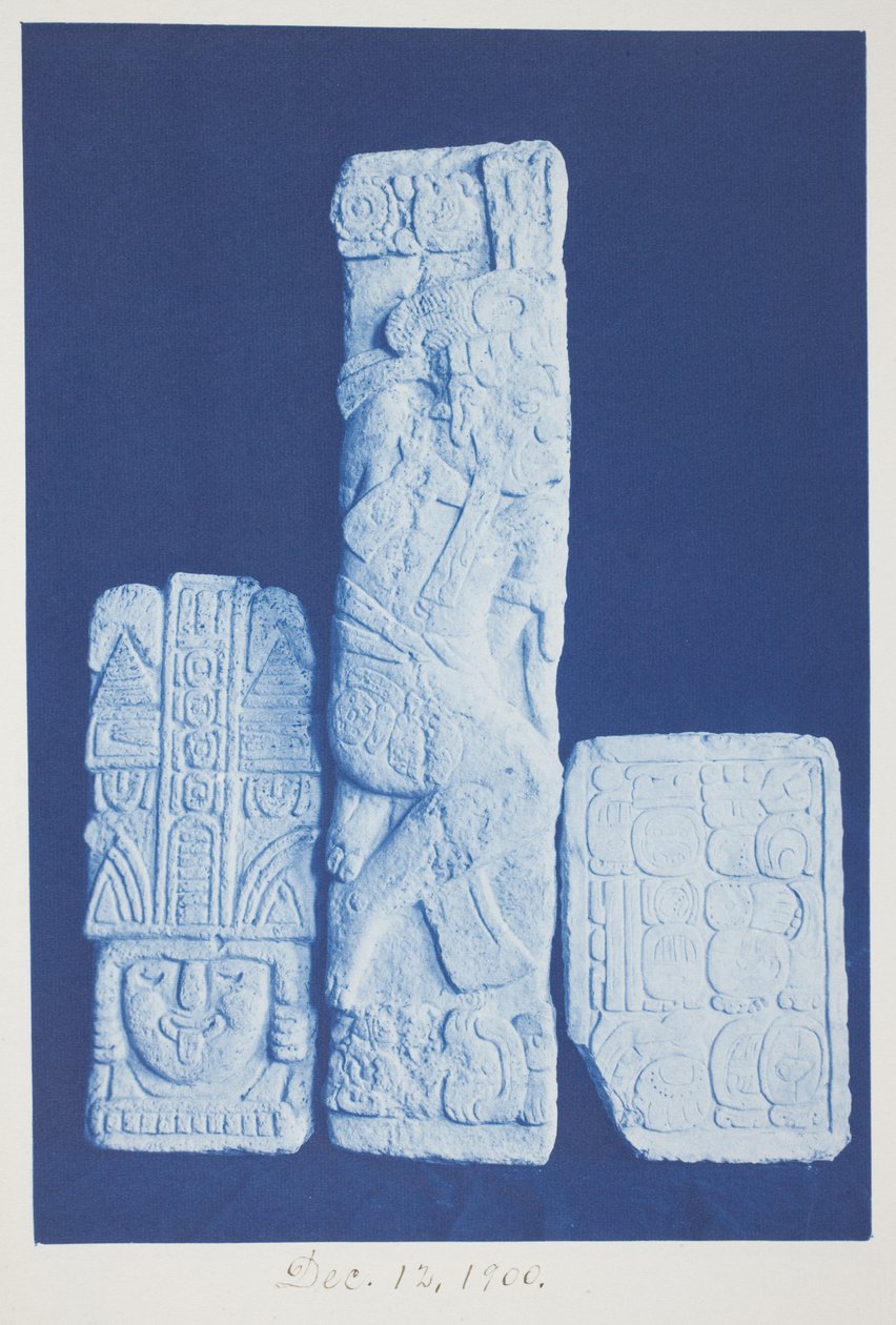 Zonder titel, 12 december door Frederick K. Coulson
