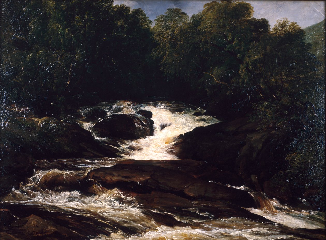 Een stroom in Devonshire door Frederick Richard Lee