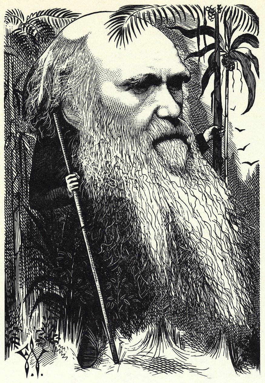 Charles DARWIN door Frederick Waddy