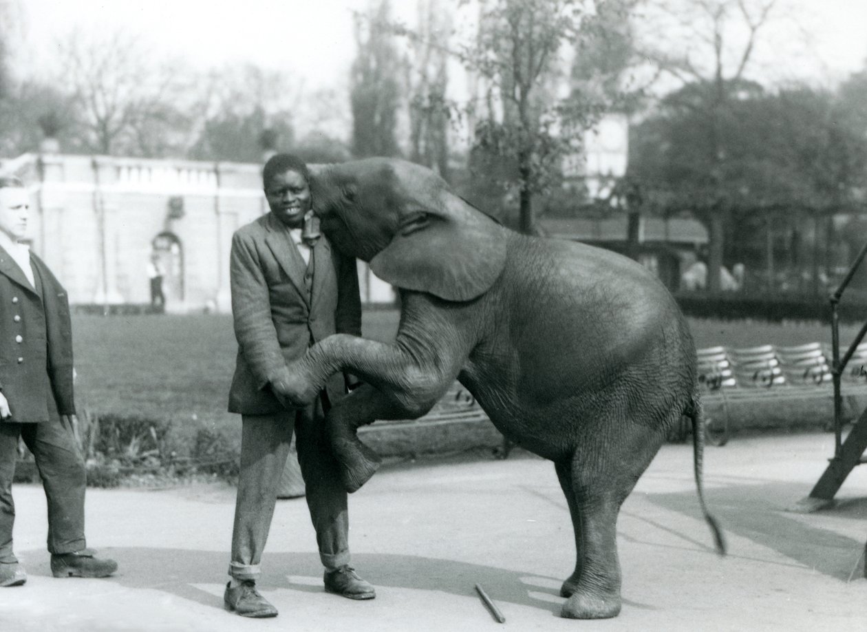 Een jonge Afrikaanse Pygmee-olifant omhelst haar Afrikaanse trainer, terwijl de verzorger toekijkt, London Zoo, juli 1925 door Frederick William Bond