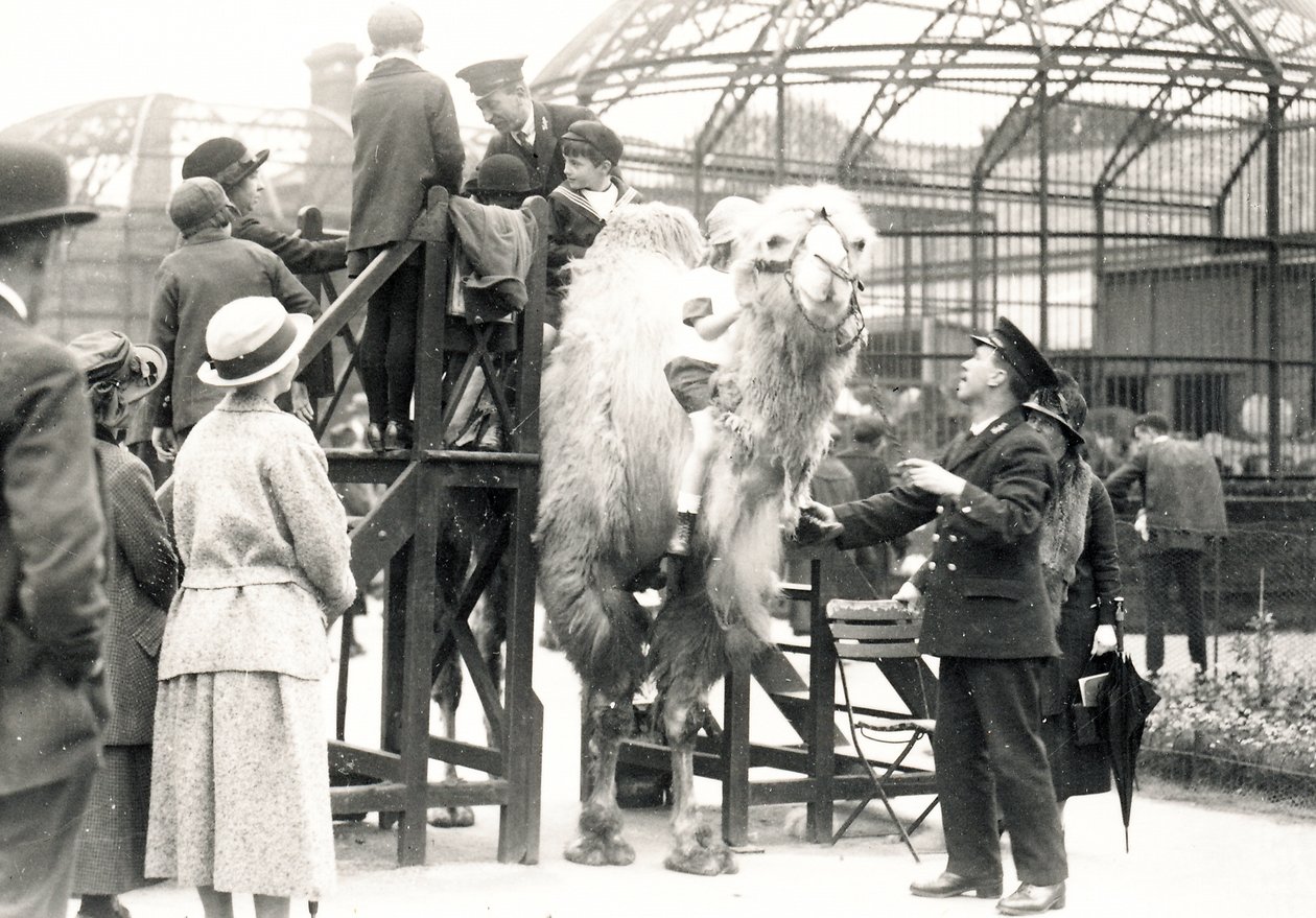 Kameelrijden met verzorger H. Warwick door Frederick William Bond