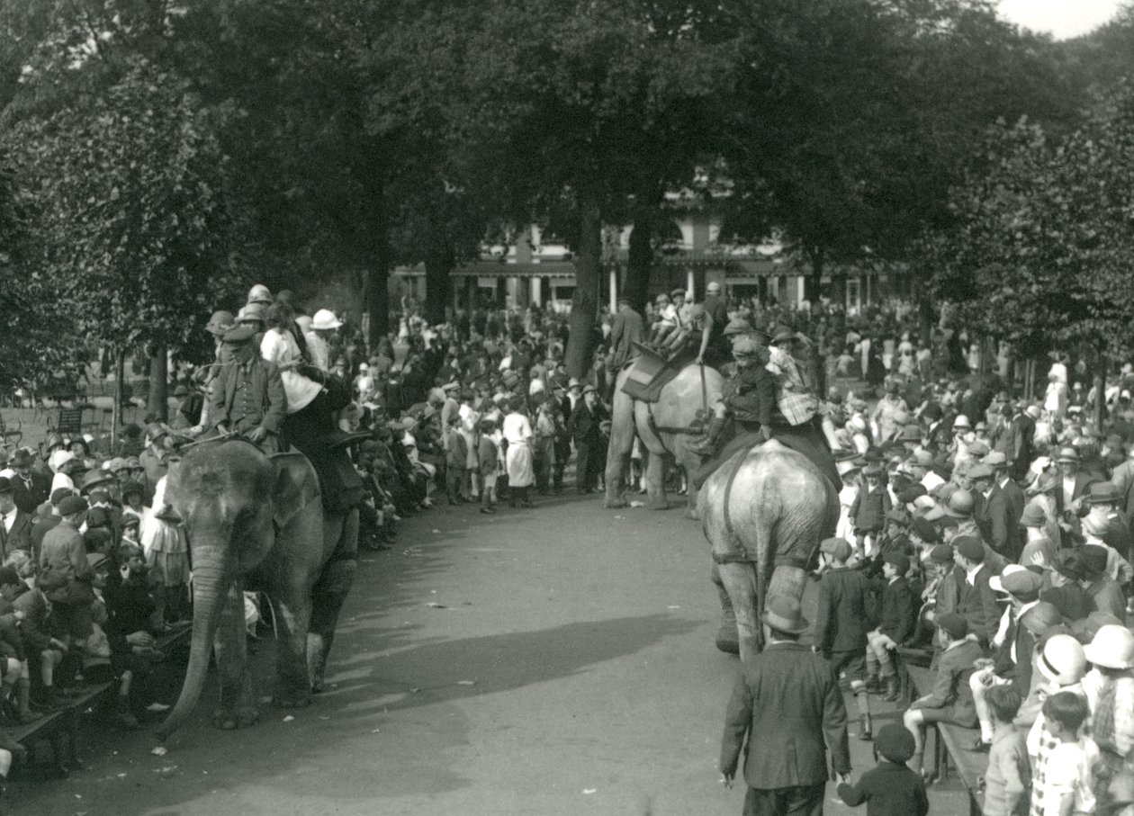 Olifantenritten, met drie Aziatische olifanten bekeken door menigten toeschouwers in London Zoo in augustus 1926 door Frederick William Bond