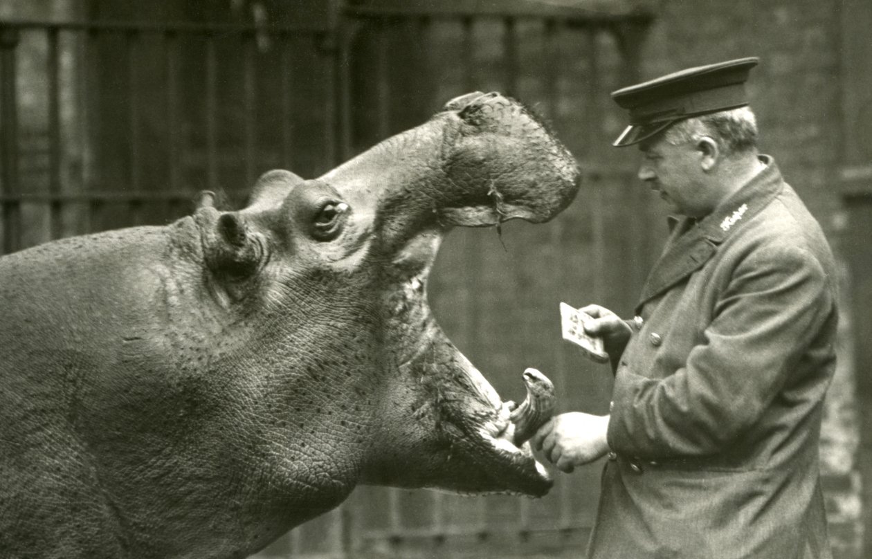 Nijlpaard Bobbie met verzorger Ernie Bowman, London Zoo, 1927 door Frederick William Bond