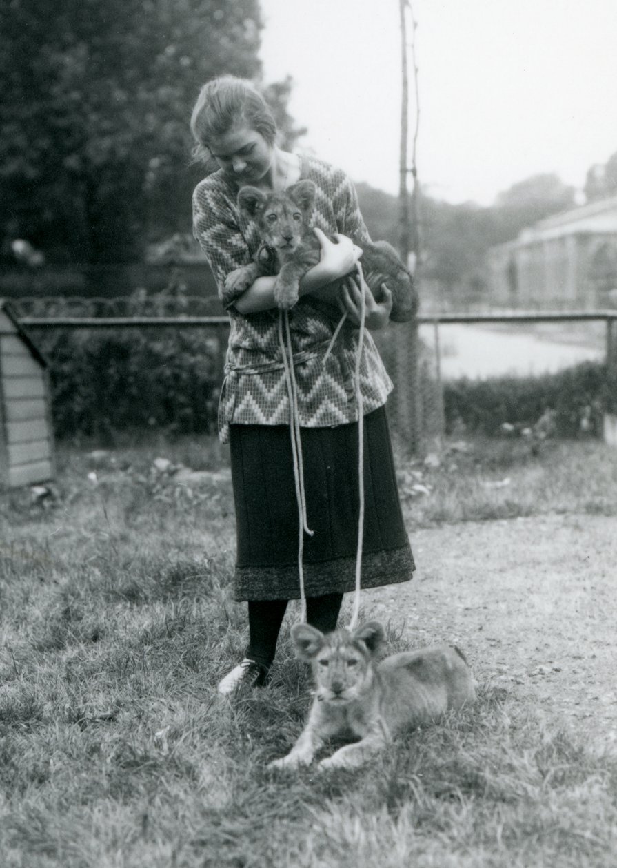 Twee leeuwenwelpen met een jonge vrouw in London Zoo, augustus 1925 door Frederick William Bond