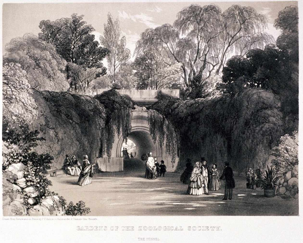 Zoologische tuinen, Regent