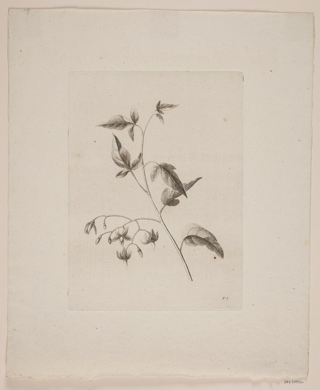 Bloemenmotief door Frederik Schepelern