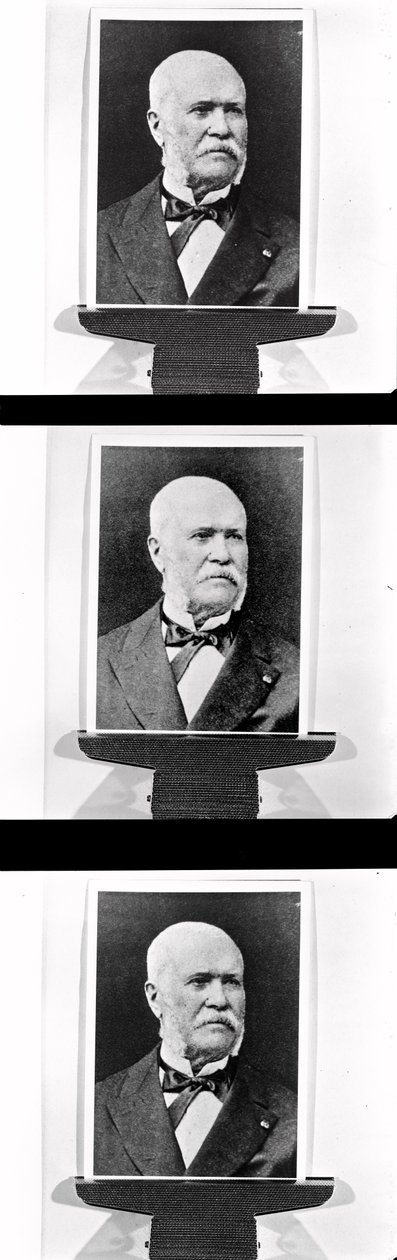 Portret van Eugène Belgrand (1810-78), c. 1870 door French Photographer