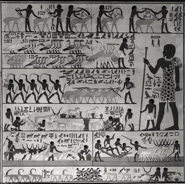Kopie van een reliëf uit de mastaba van Ti in Sakkara (muurschildering) door French School