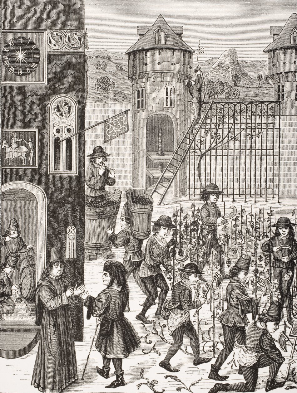 Vruchtenteelt, naar een miniatuur in een 15e-eeuws manuscript, uit 