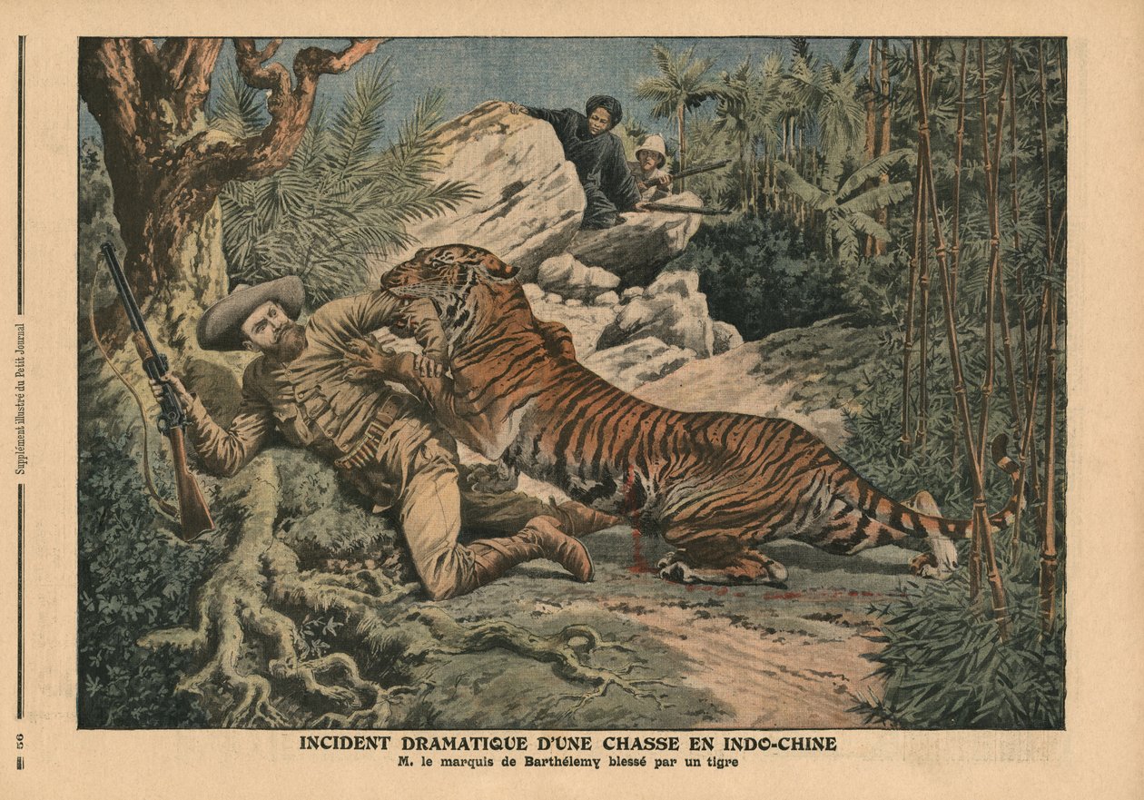 Markies van Barthelemy gewond door een tijger, illustratie uit 
