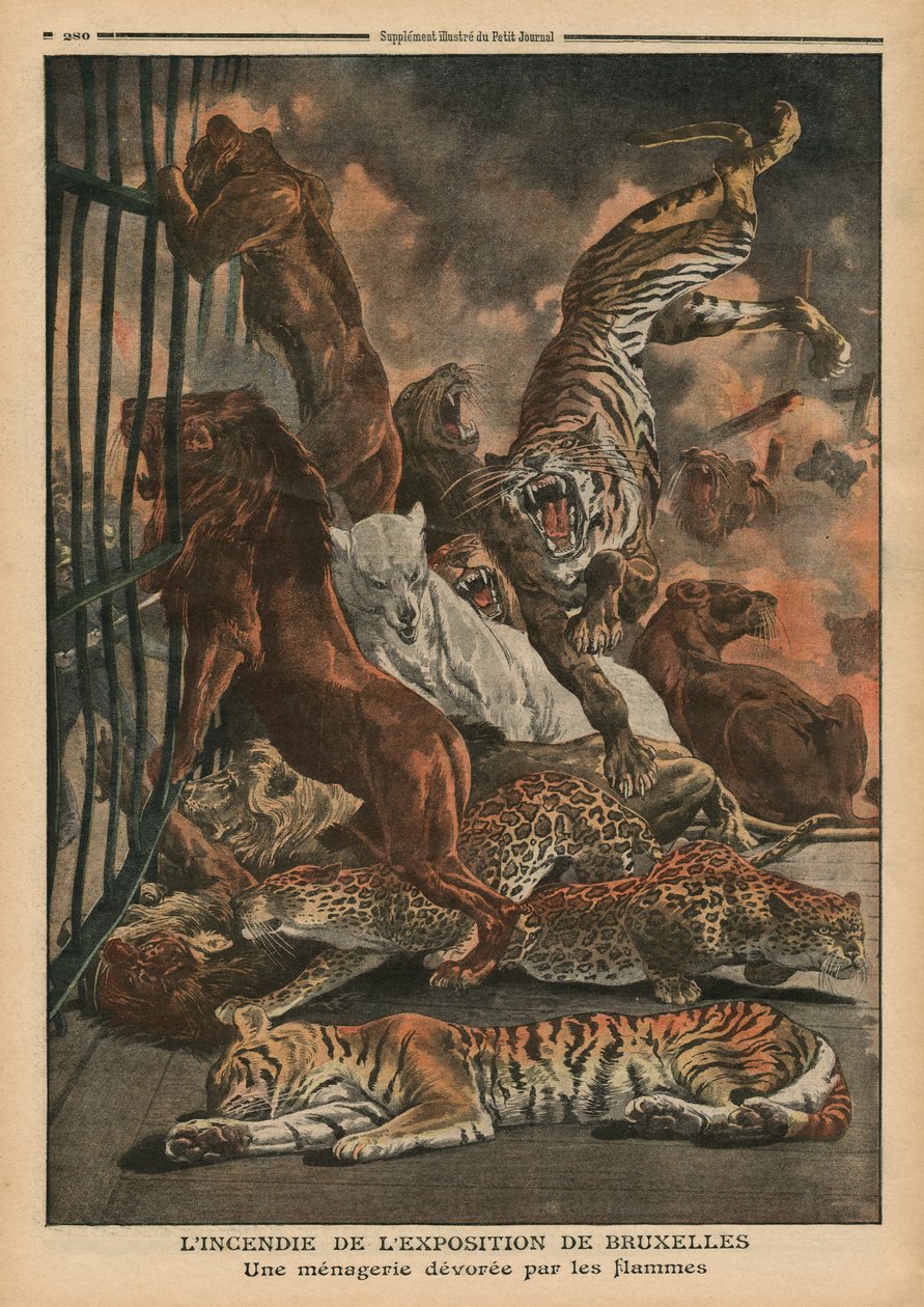 De brand op de Wereldtentoonstelling van Brussel, een menagerie wordt verteerd door de vlammen, illustratie uit 
