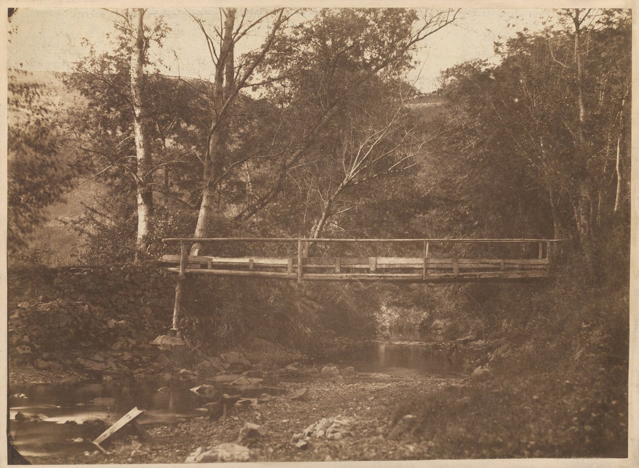 Landschap met bomen en brug,c. 1850 (foto) door French Photographer