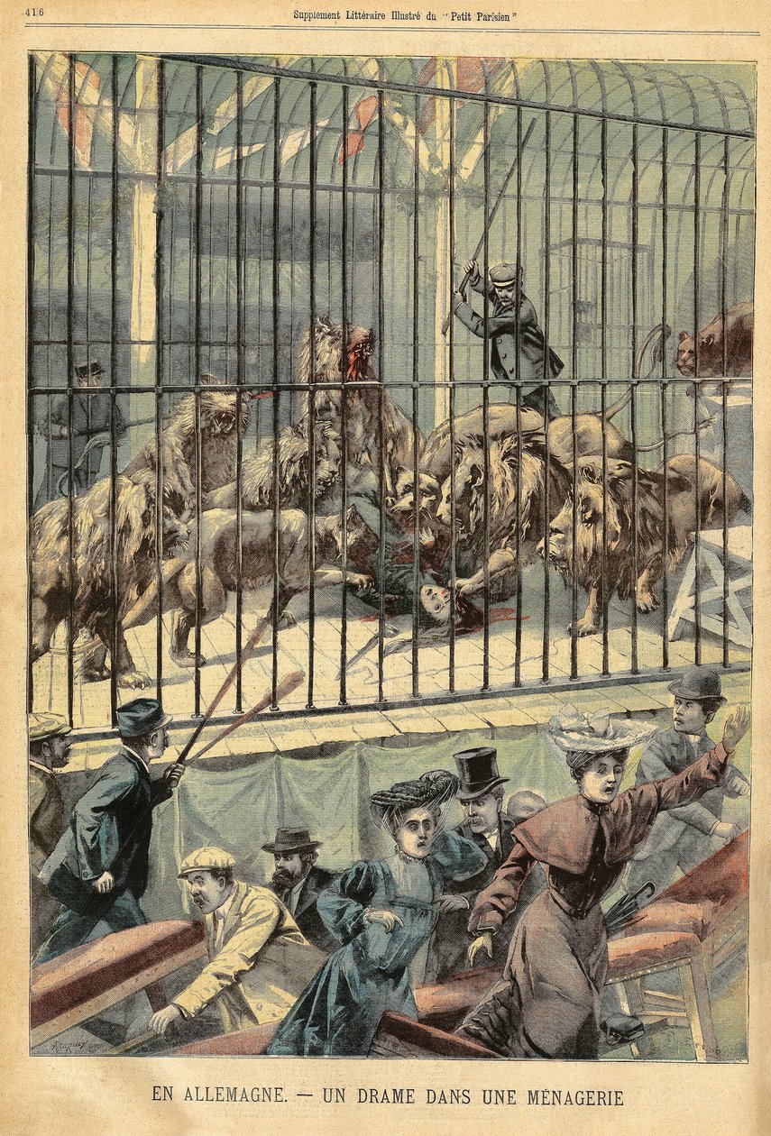 Een temmer wordt opgegeten door haar leeuwen in een menagerie in Dessau, Duitsland. Gravure in 