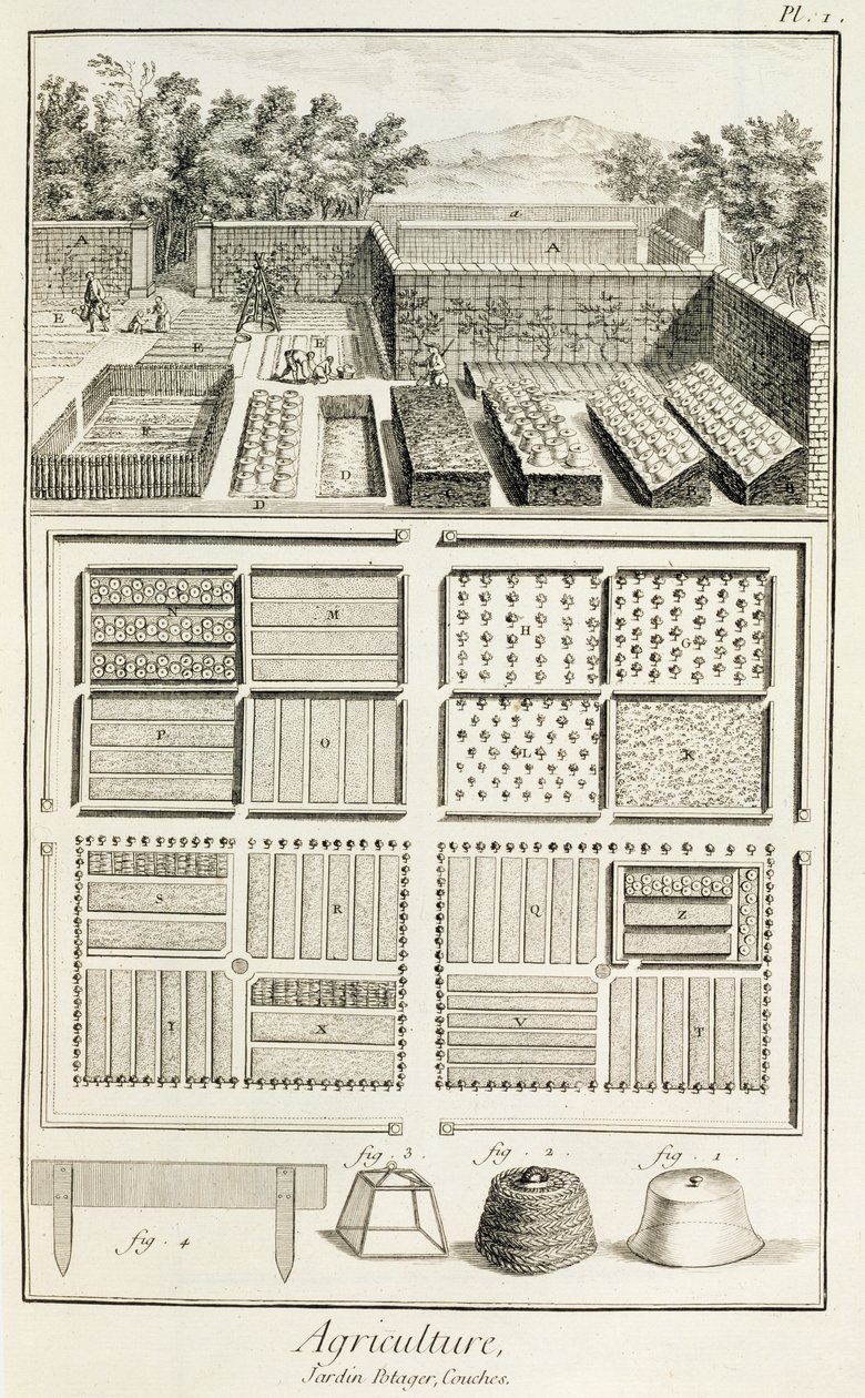 Een moestuin, uit De Encyclopedie van Wetenschap, Kunst en Techniek door Denis Diderot (1713-84), ca. 1770 door French School