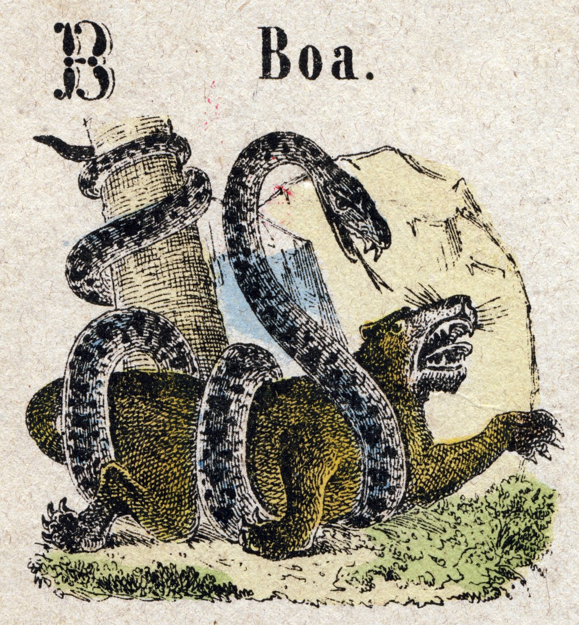 Abecedarium. Letter B zoals Boa. Kleine encyclopedische alfabet, populaire serie. Epinal beeld, eind 19e eeuw door French School