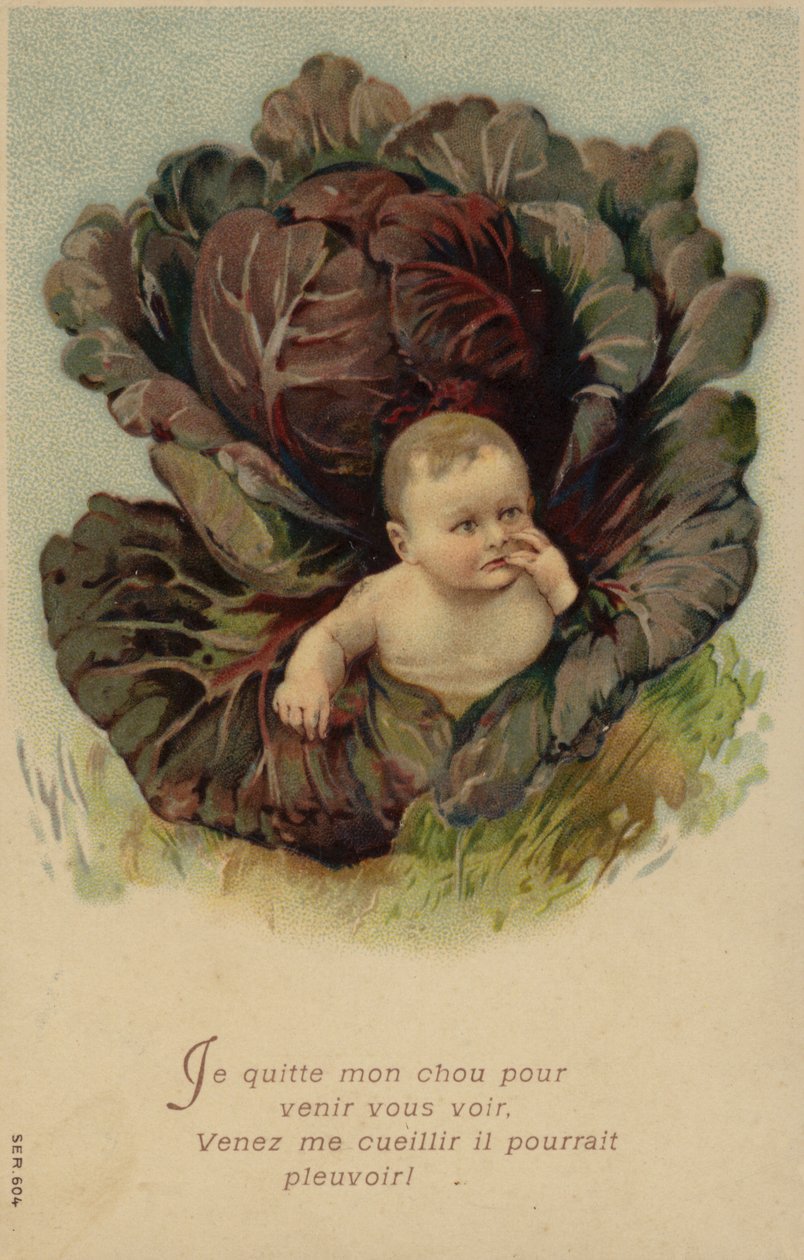 Baby uit een kool (chromolitho) door French School