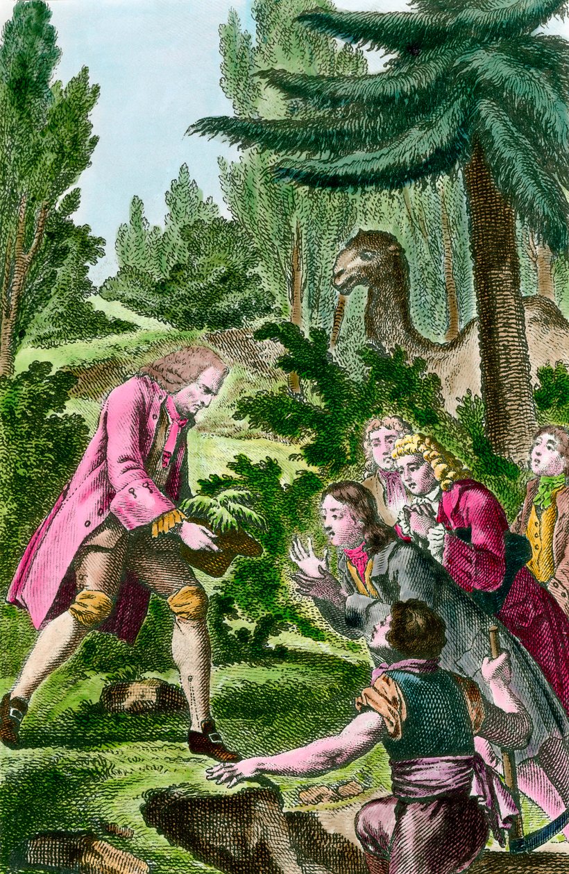 Bernard de Jussieu (1699-1777) plant een ceder uit Libanon in de plantentuin in Parijs in 1734. 18e eeuwse gravure. door French School