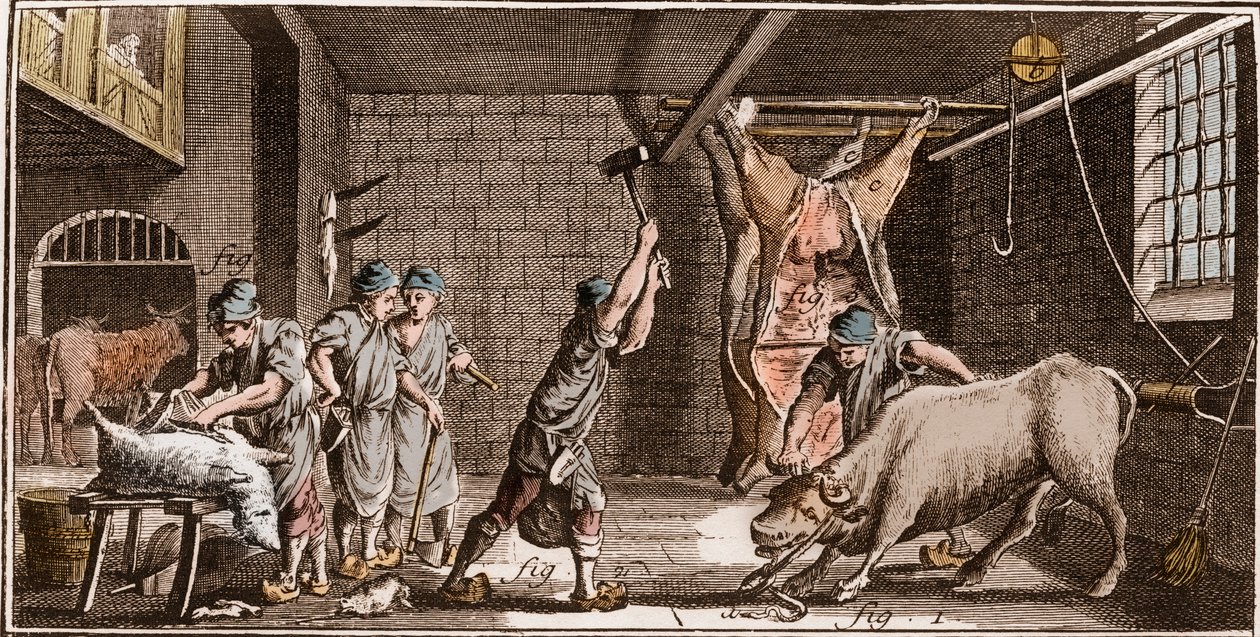 Slager - Slagerij - La Grande Encyclopedie, ou Dictionnaire Raisonne des Sciences, des Arts et des Metiers door Denis Diderot en Jean d