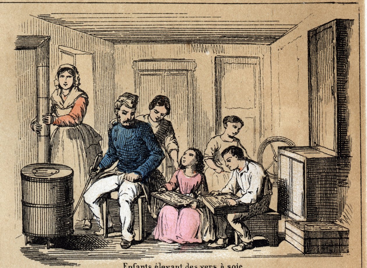 Beschrijving van de cultuur en zijden producten: kinderen die zijderupsen kweken. Plaat "la soie" in "les Recreations instructives" Synoptisch schilderij door Jules Delbruck, gravure uit 1860. Privécollectie. door French School