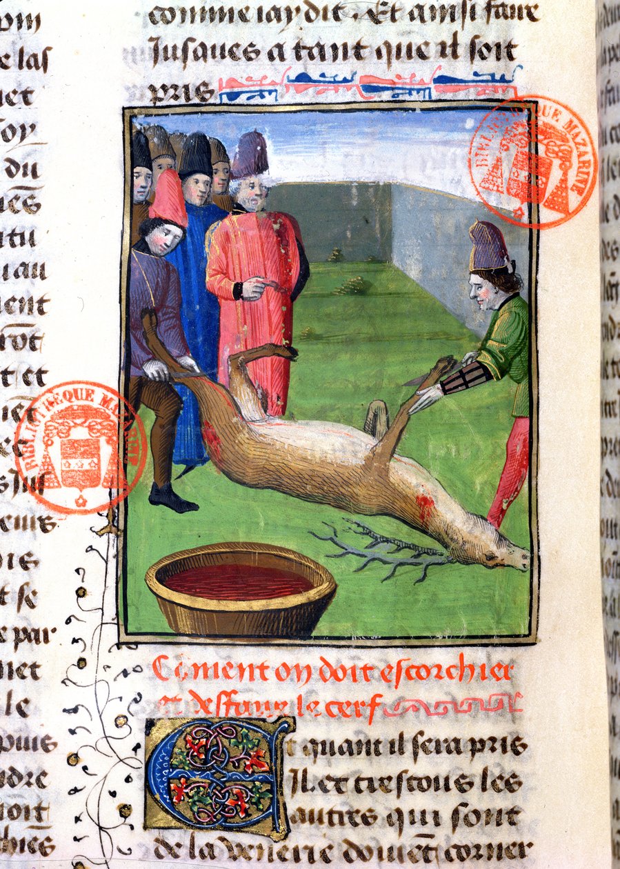 Het snijden van de poten van een dood hert, uit het Livre de la Chasse door Gaston Phebus de Foix (1331-91) door French School