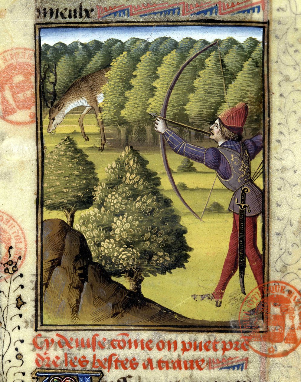 Hertenjacht - in 