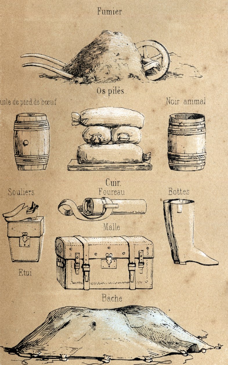 Beschrijving van de verschillende producten en toepassingen van de koe: allerlei voorwerpen gemaakt van de koe (runderpootolie, leren voorwerpen, mest). Plaat 