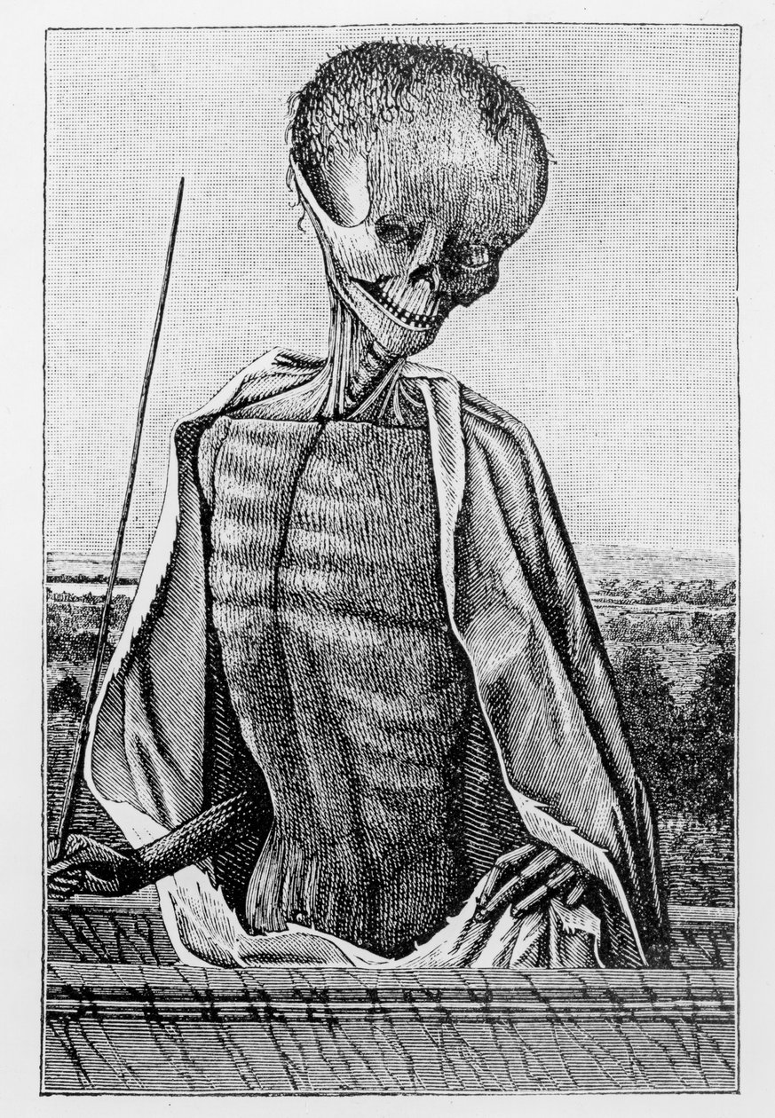 Dokter Dood, uit een Getijdenboek, illustratie uit Wetenschap en Literatuur in de Middeleeuwen en de Renaissance, geschreven en gegraveerd door Paul Lacroix, 1878 door French School