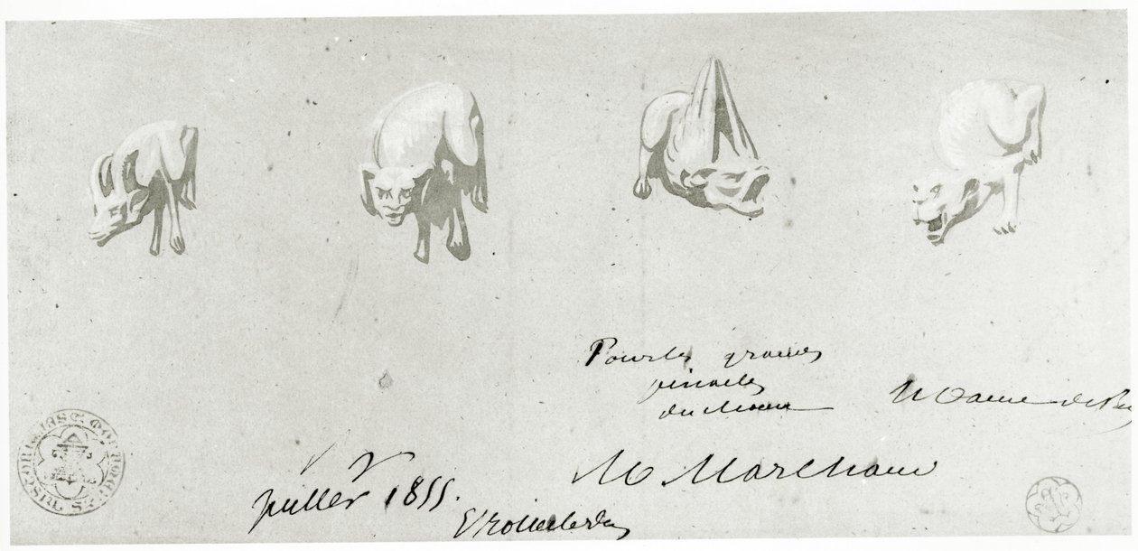 Tekening voor de Restauratie van de Waterspuwers van de Notre Dame, 1855 door French School