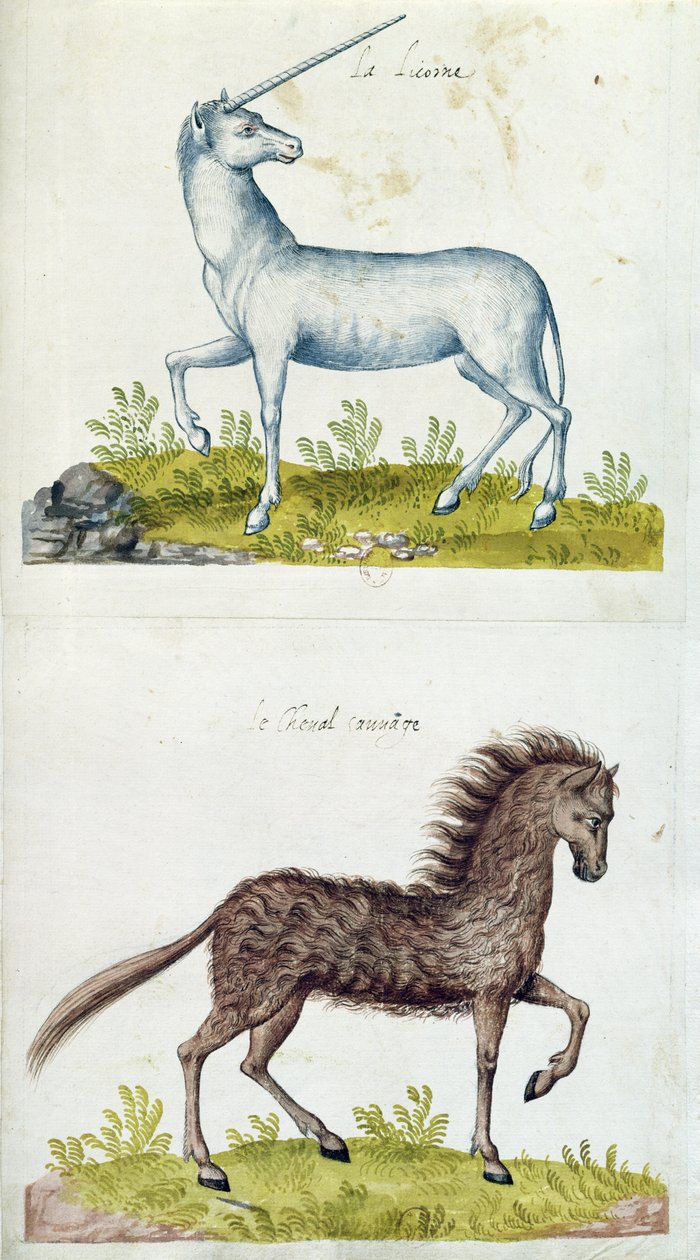 Tekeningen van een eenhoorn en een wild paard door French School