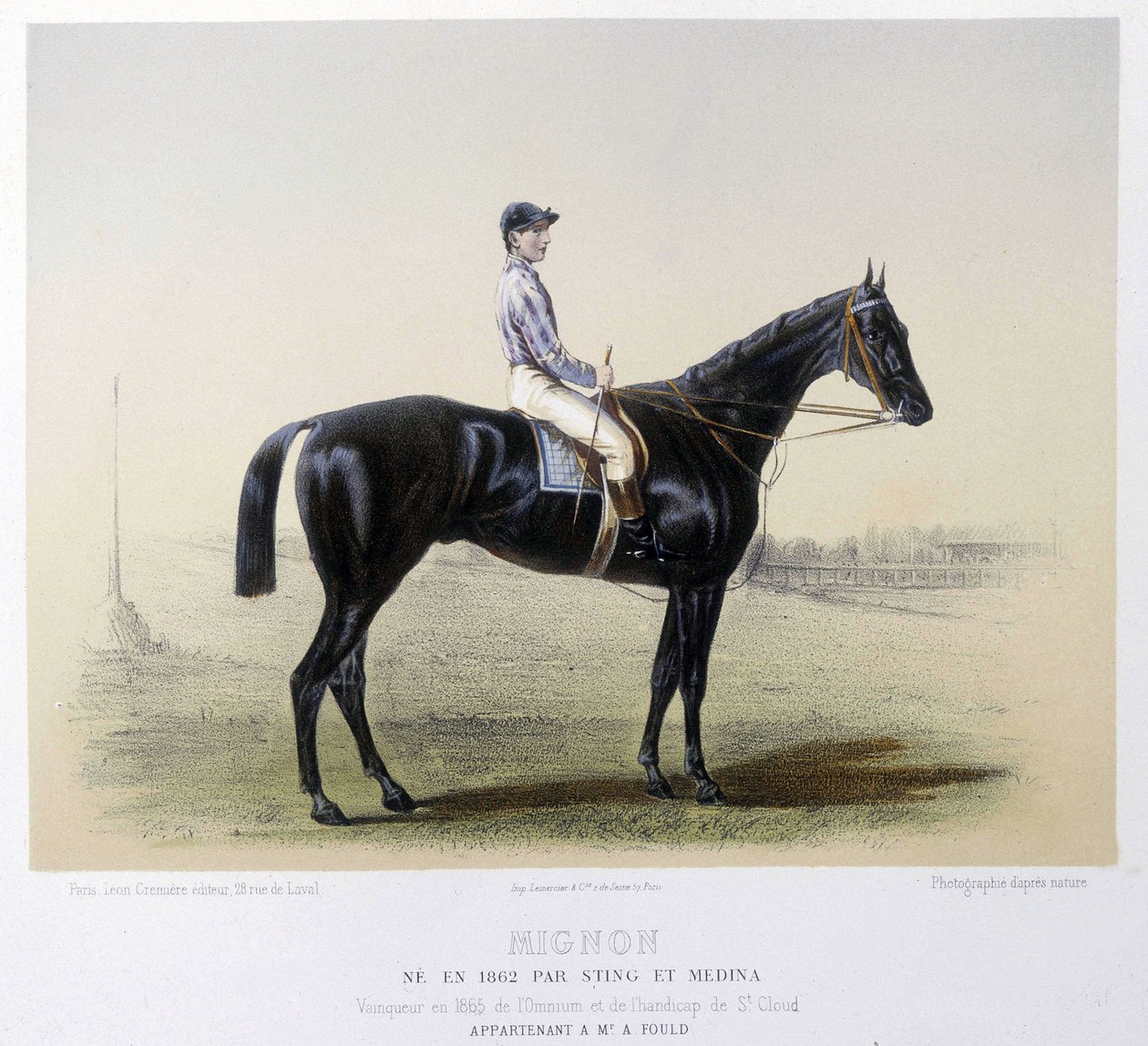 Beroemd renpaard - in 
