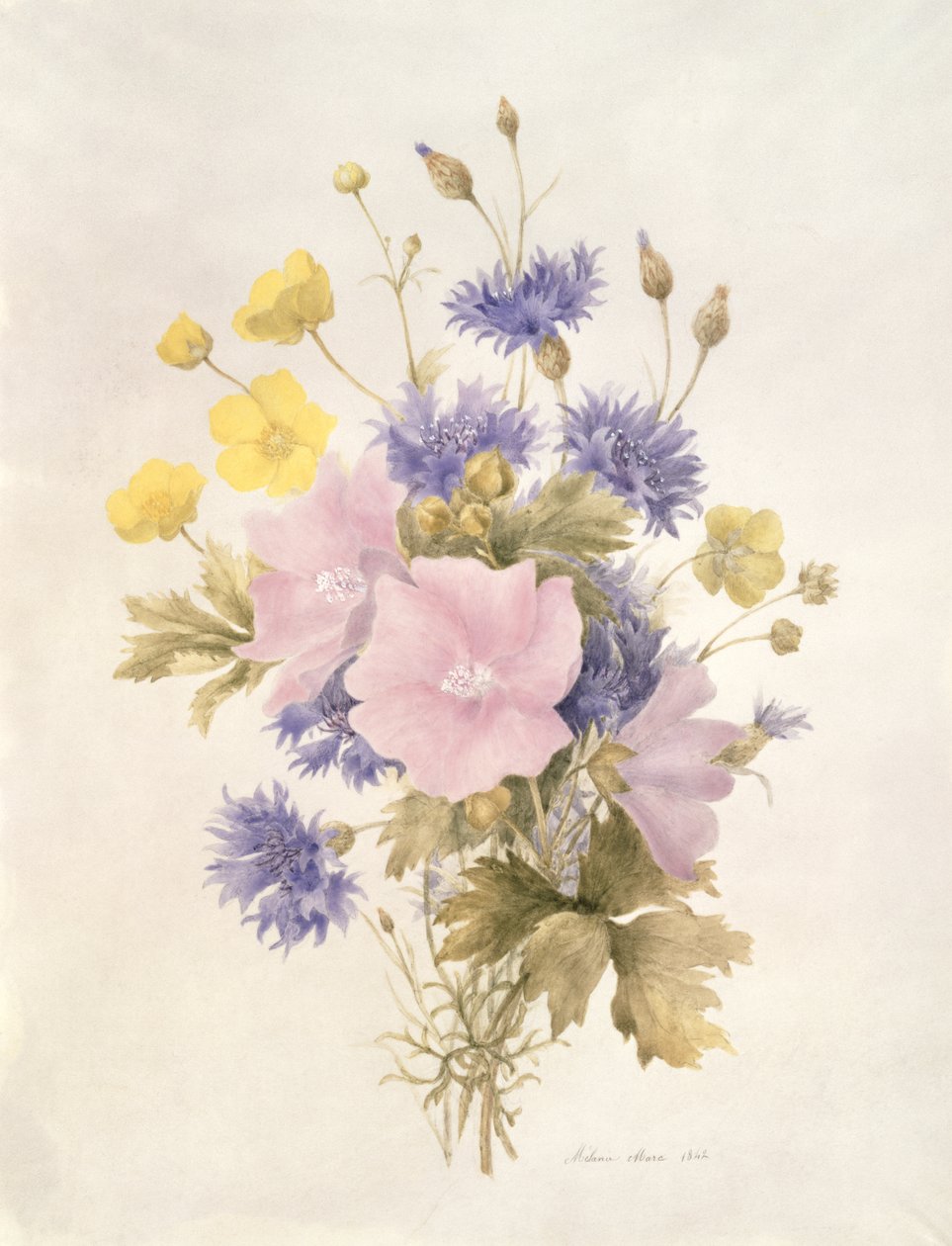 Veldbloemen, 1842 door French School