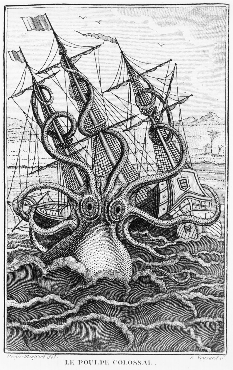 Reuzenoctopus, illustratie uit L