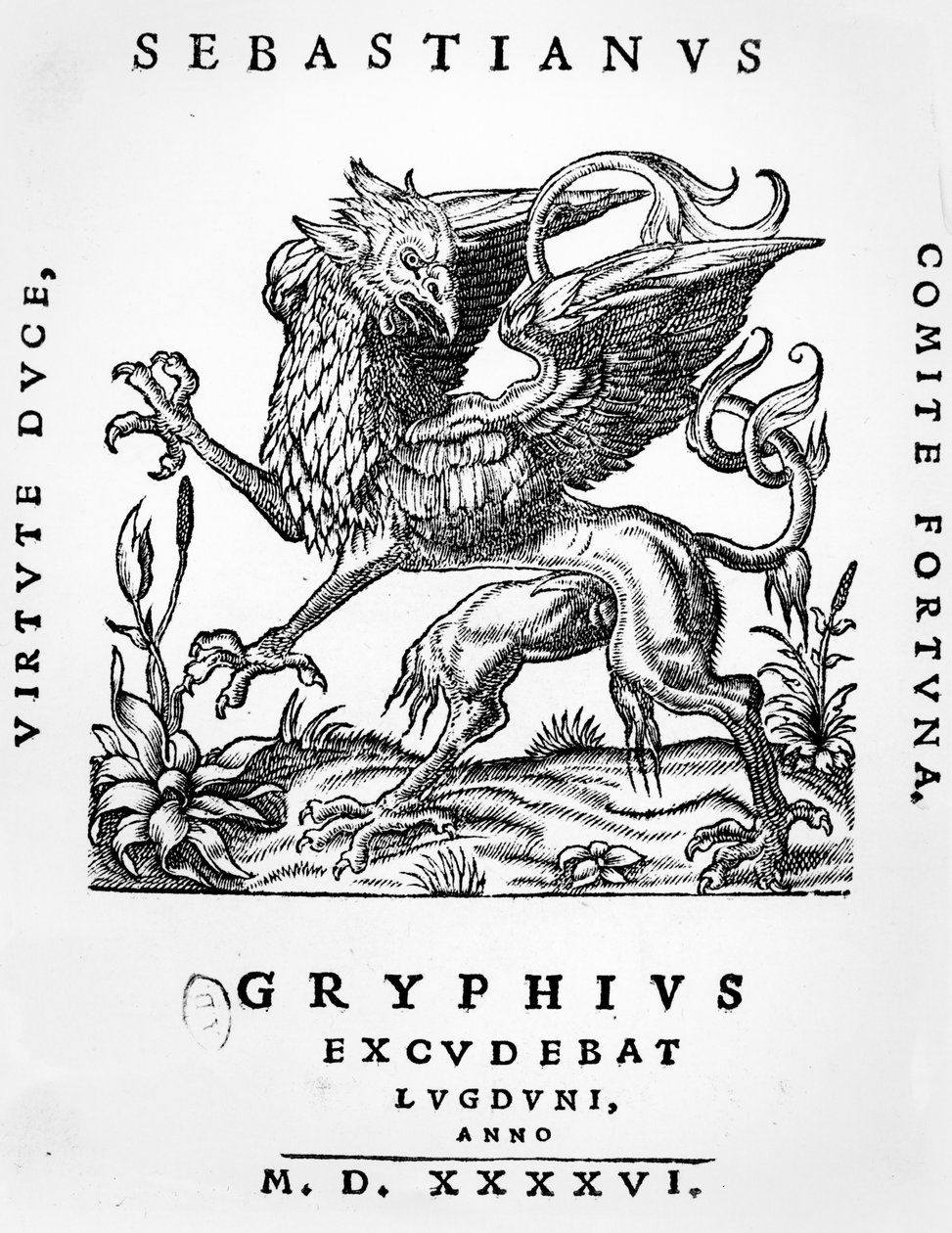 Griffioen drukkers embleem van Sebastianus Gryphius, Lyon, 1546 door French School