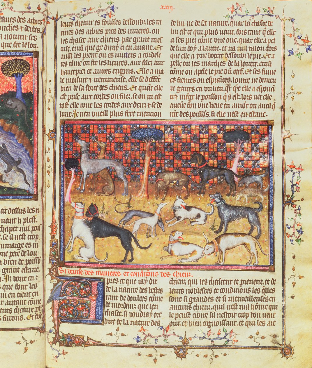 Jachthonden door Gaston III, Graaf van Foix Phebus le Chasseur (1331-91), uit Livre de la Chasse, 1387-89 door French School