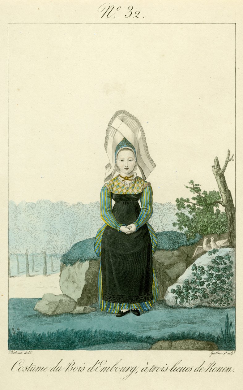 Illustratie nr. 32, Kostuum van de Bois d