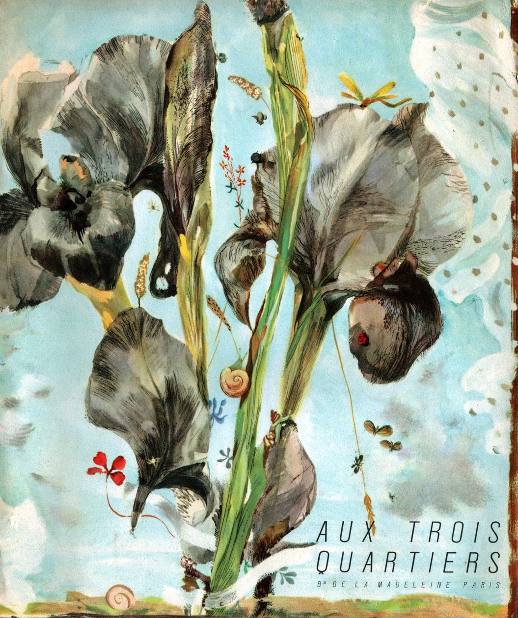 Iris (bloem). (Illustratie, circa 1920) door French School