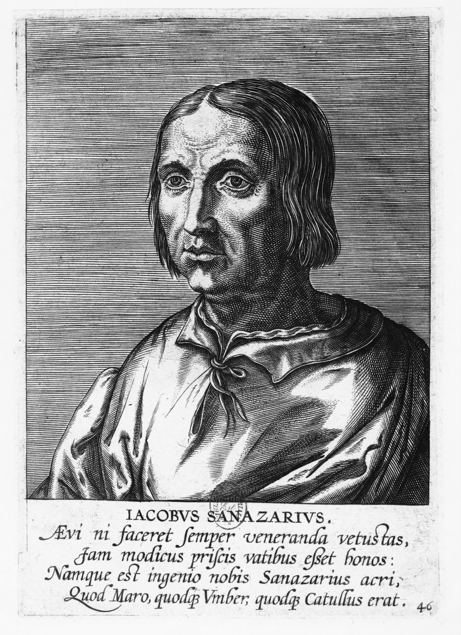 Jacopo Sannazaro (gravure) door French School