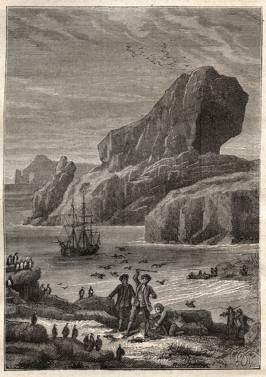 Kerguelen Eilanden. Illustratie voor 
