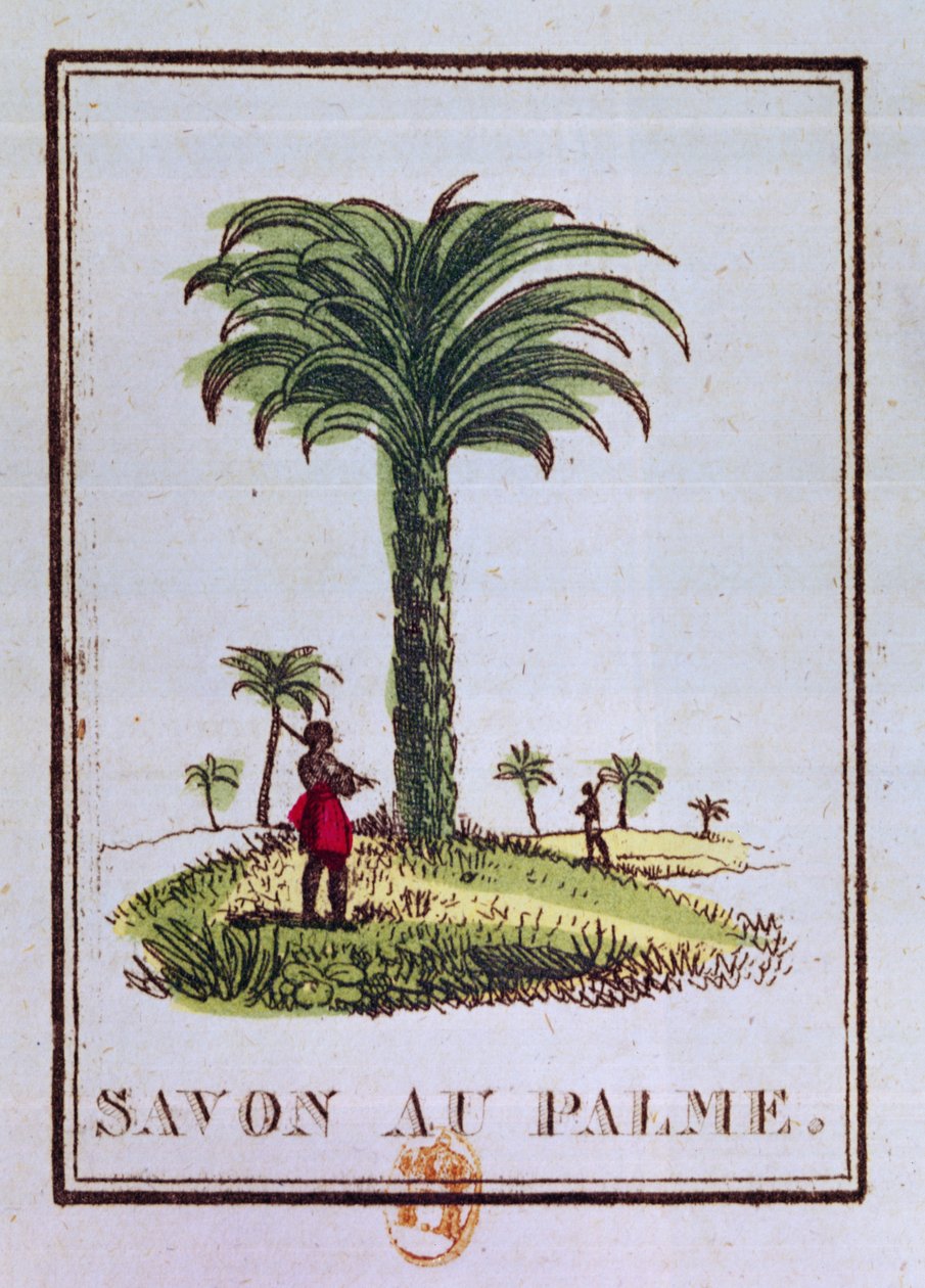 Etiket voor een palmoliegeurende zeep, met een palmboom door French School