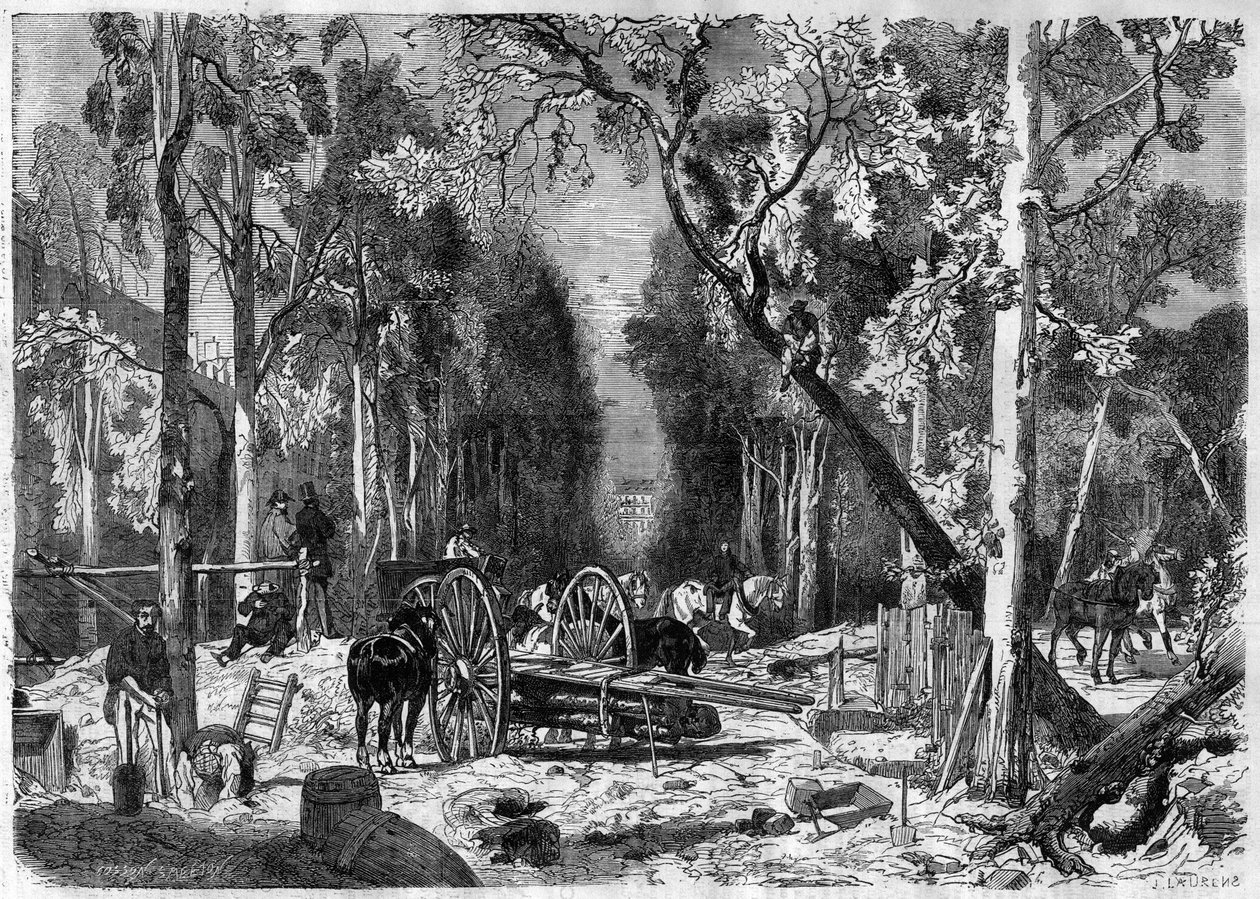 De houthakker in de Jardin de Luxembourg in Parijs in 1870 door French School